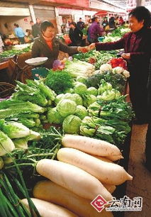 上半年我省農(nóng)產(chǎn)品總體價(jià)格漲兩成 氣候變化與成本上升雙重夾擊引憂